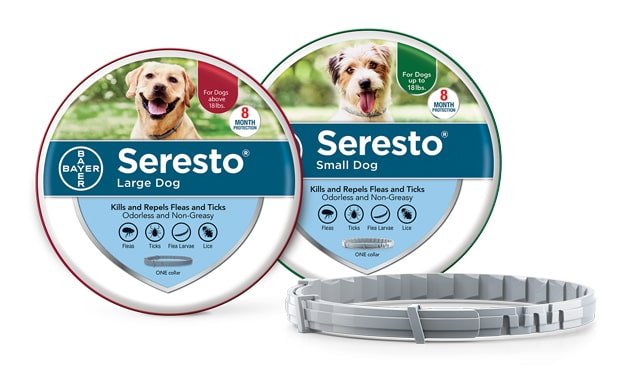 My dog has a seresto 2024 collar and still has fleas